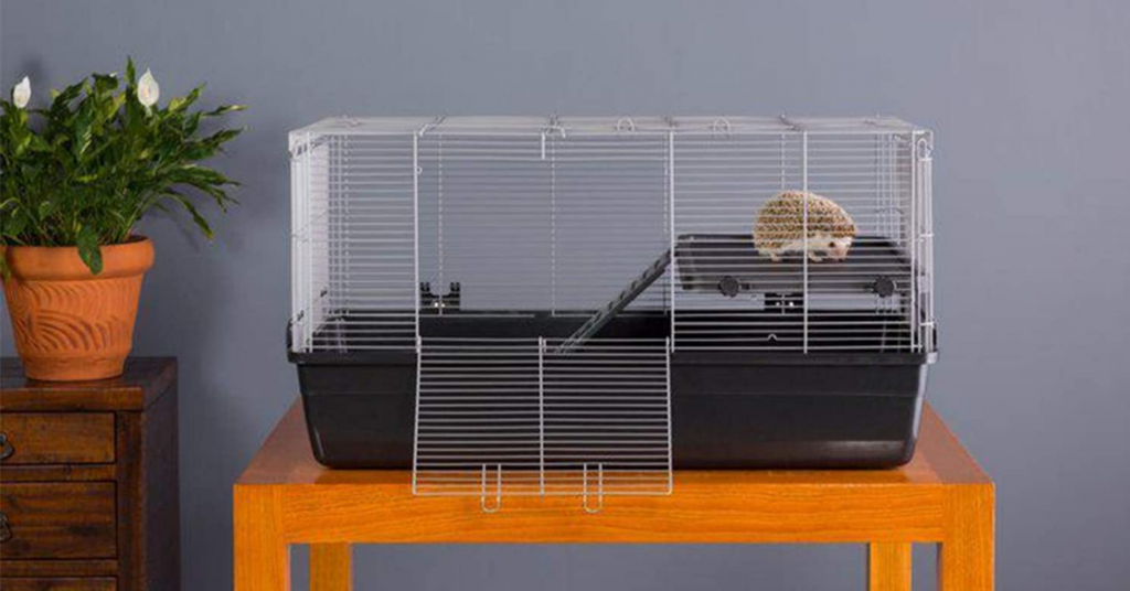 Top 5 Best Hedgehog Cages 2024 Hedgehoged