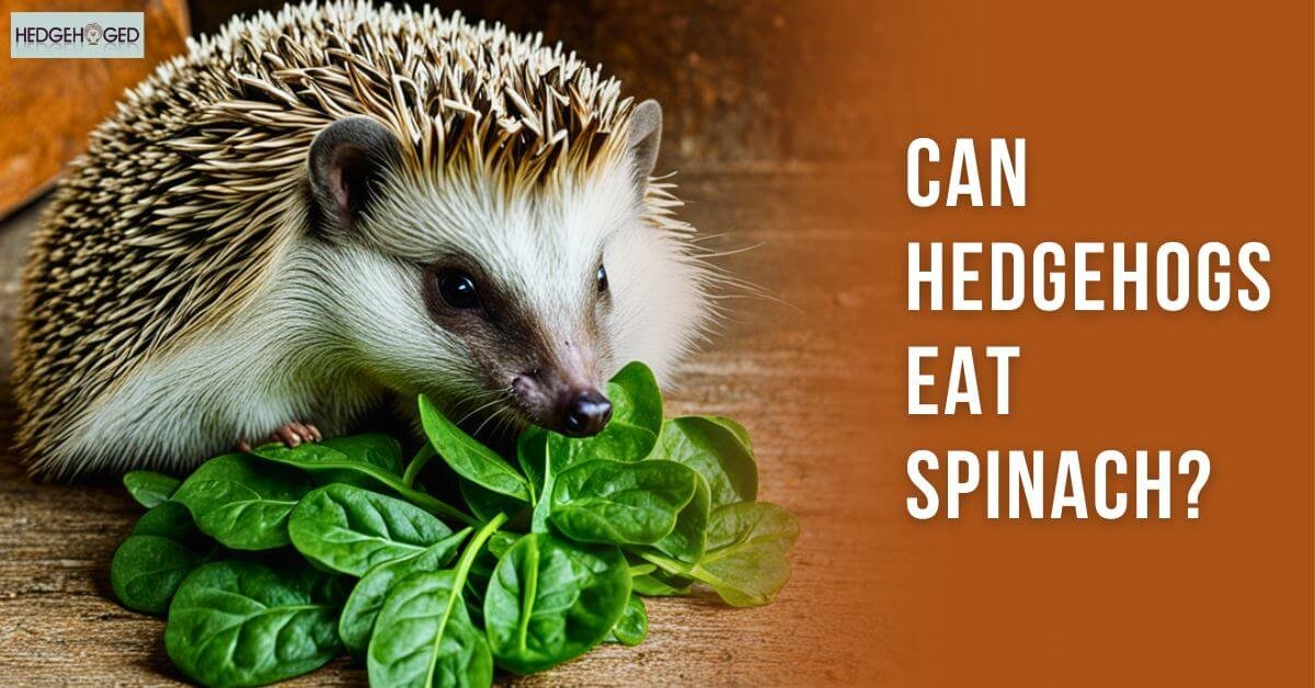 Can Hedgehogs Eat Spinach