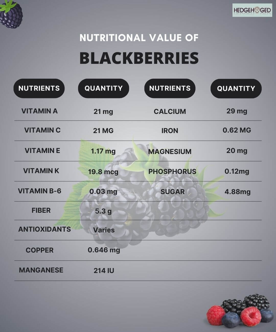 Nutritional Value of Blackberries