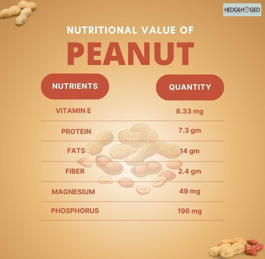 Nutritional Value of Peanut