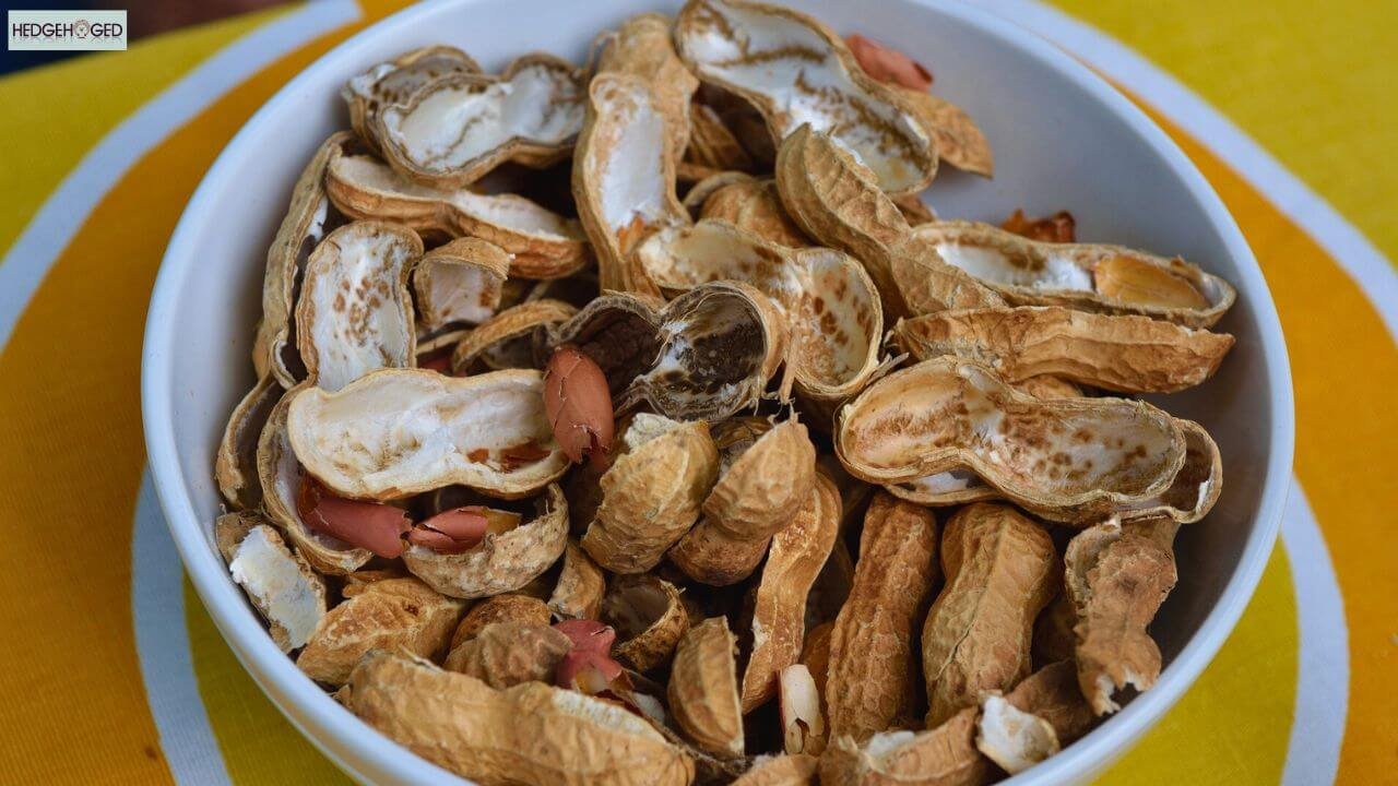 eat peanut shells