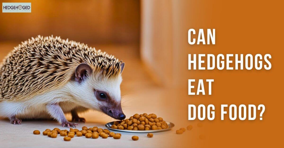 Can Hedgehogs Eat Dog Food