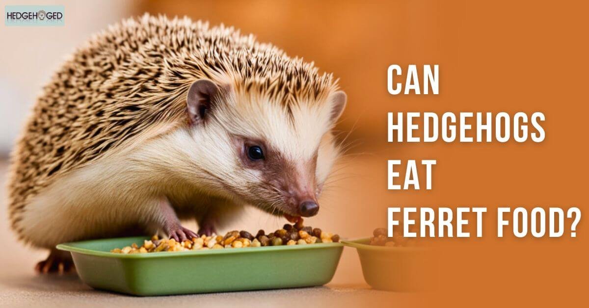 Can Hedgehogs Eat Ferret Food