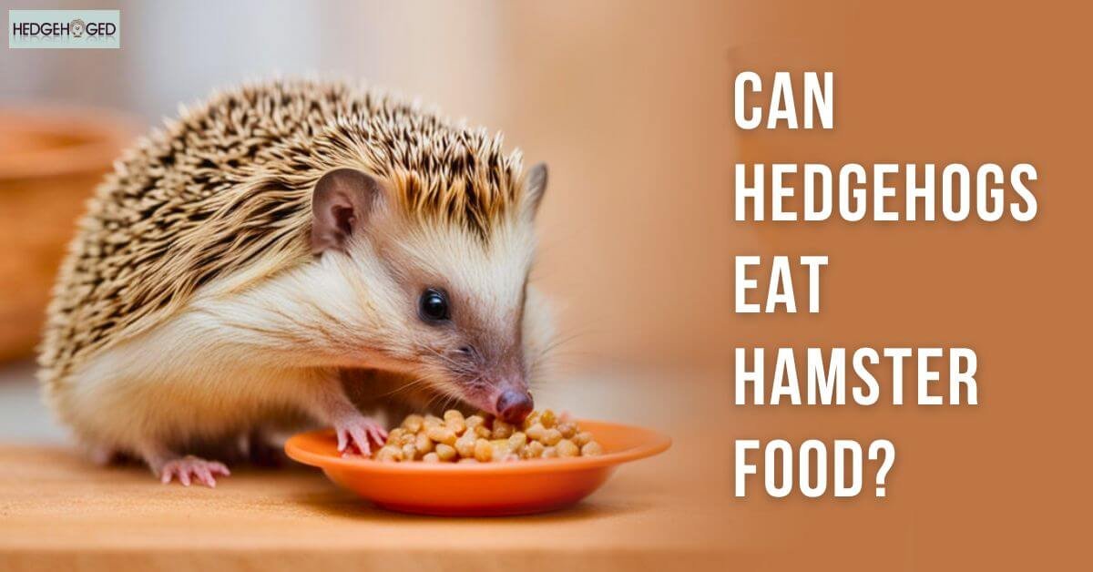 Can Hedgehogs Eat Hamster Food