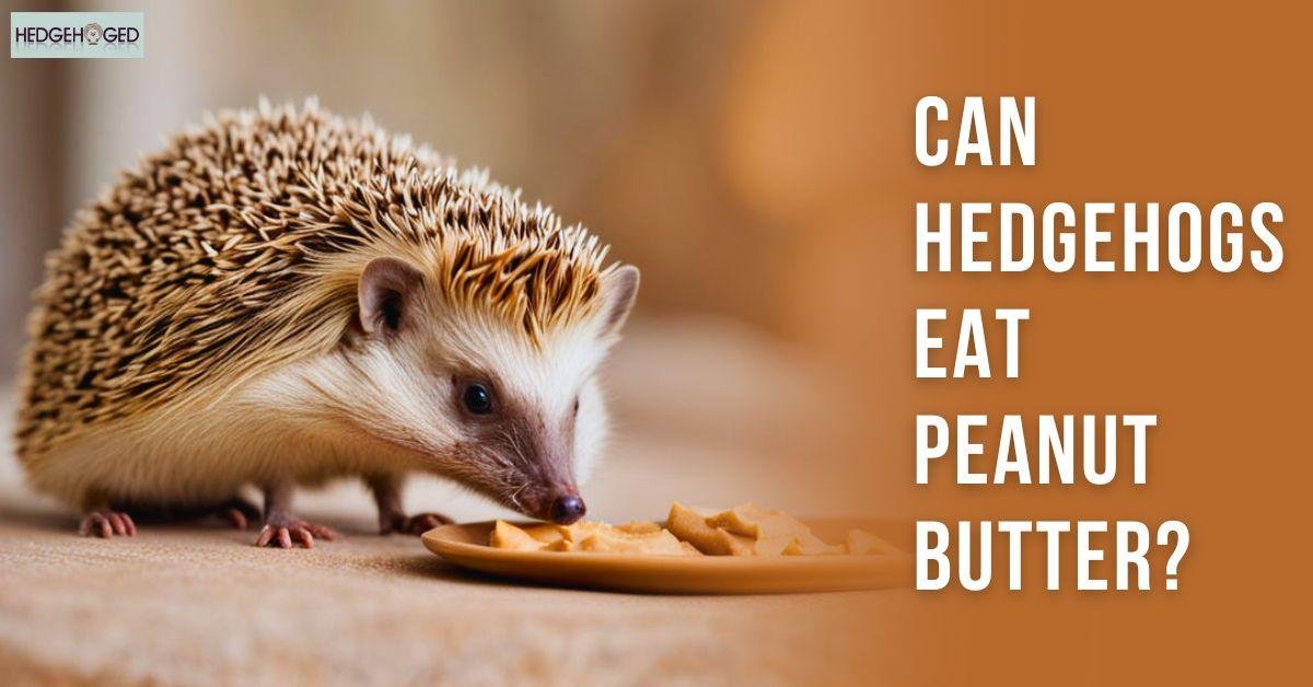 Can Hedgehogs Eat Peanut Butter