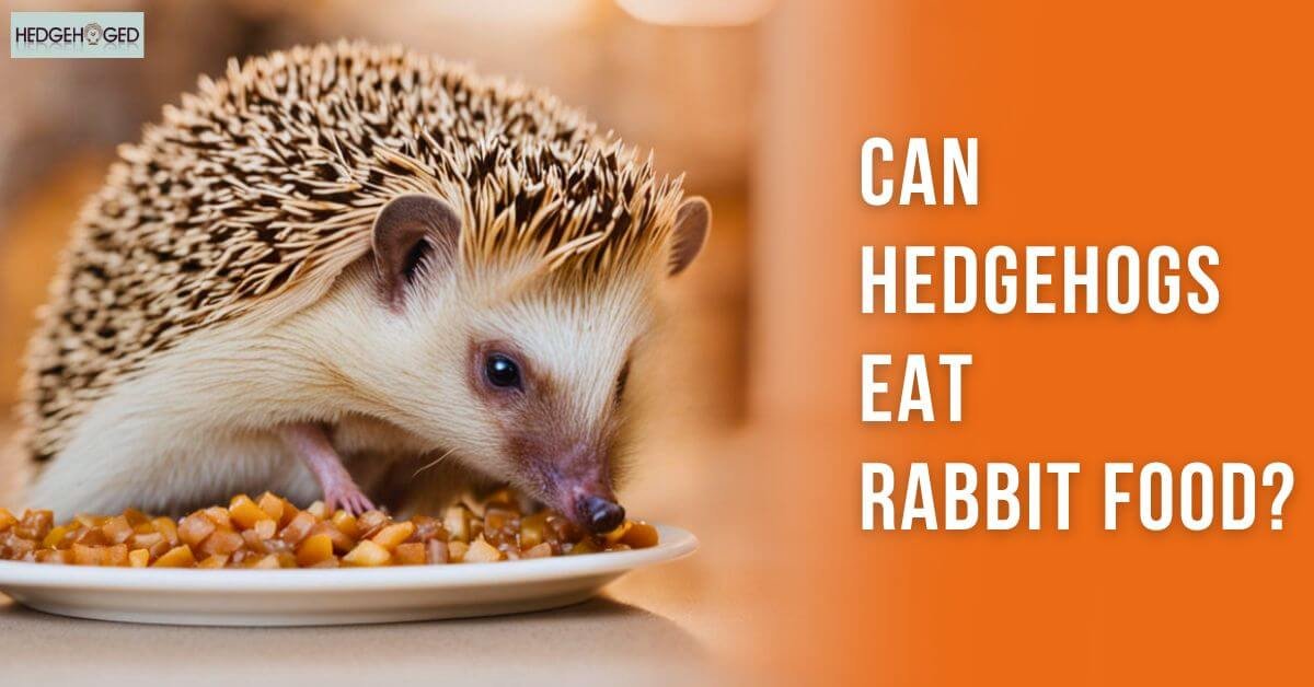 Can Hedgehogs Eat Rabbit Food
