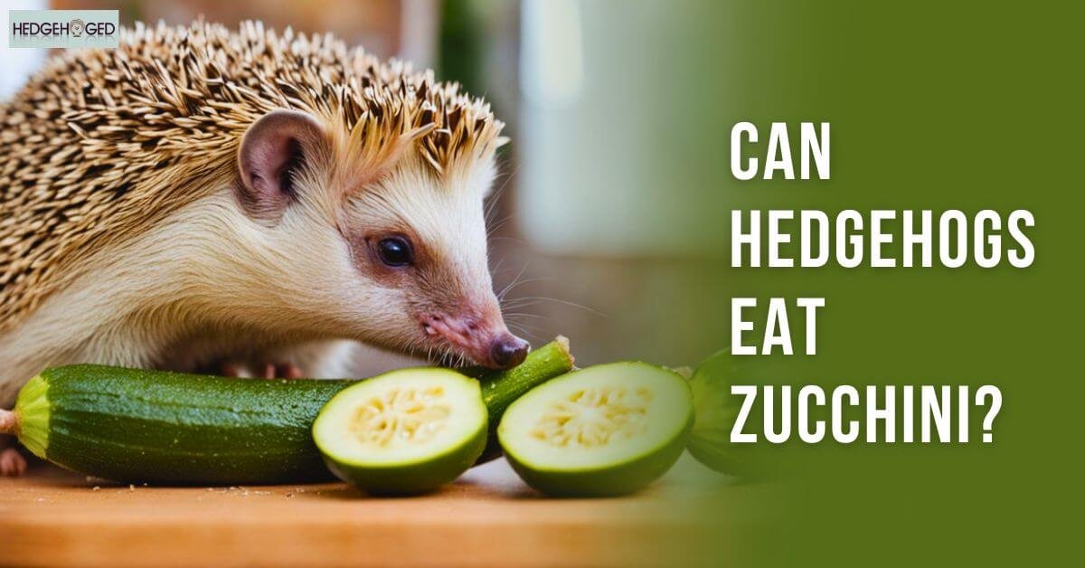 Can Hedgehogs Eat Zucchini