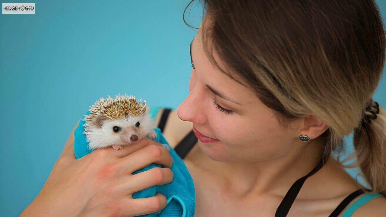 hedgehog bath towel