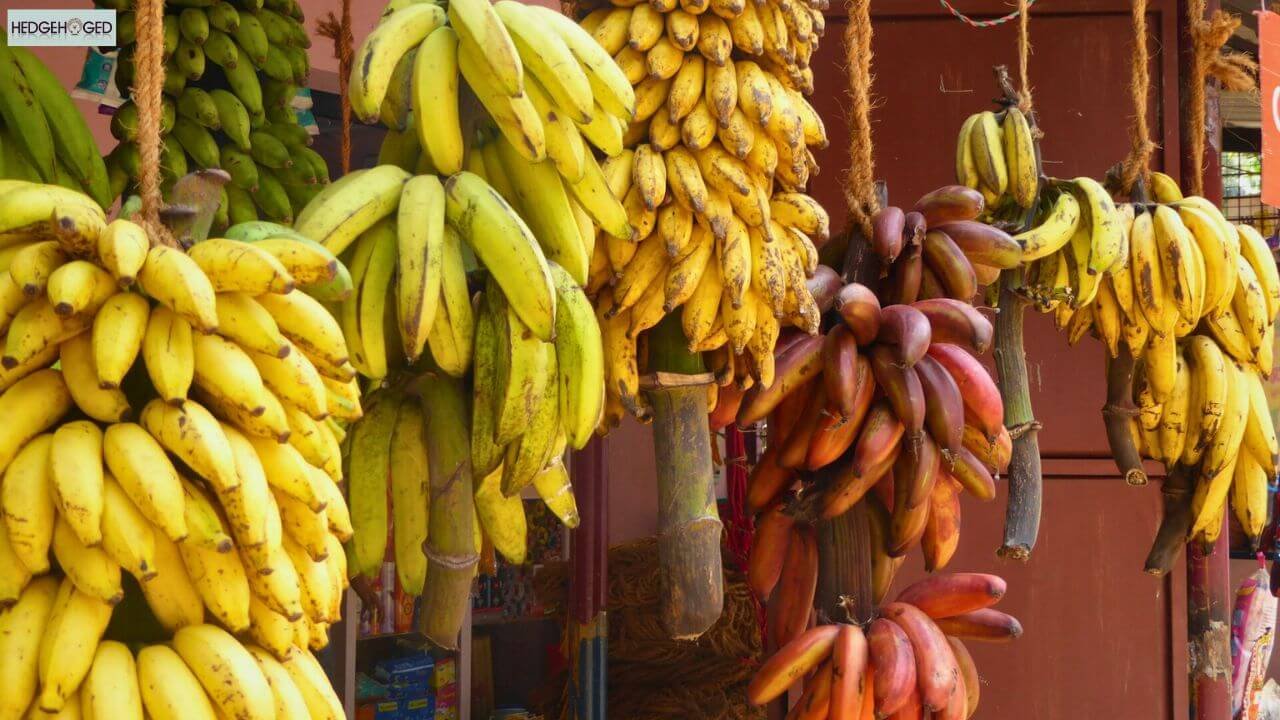 types of bananas